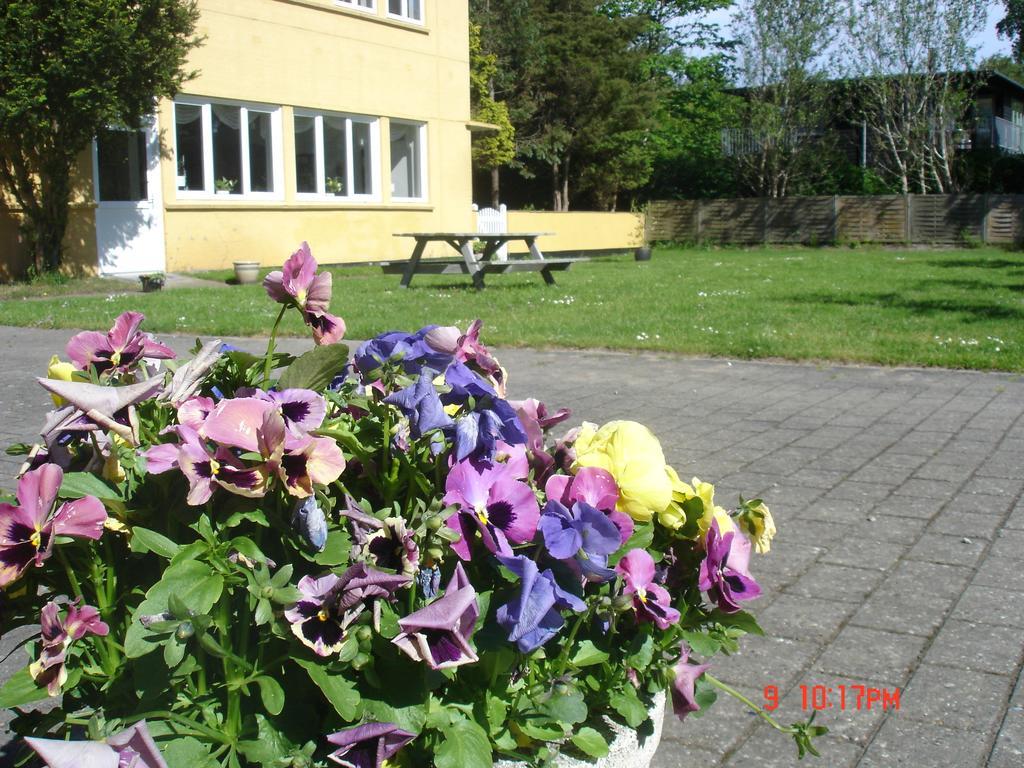 Hotel Havlund Bed And Breakfast Grenaa Exterior photo